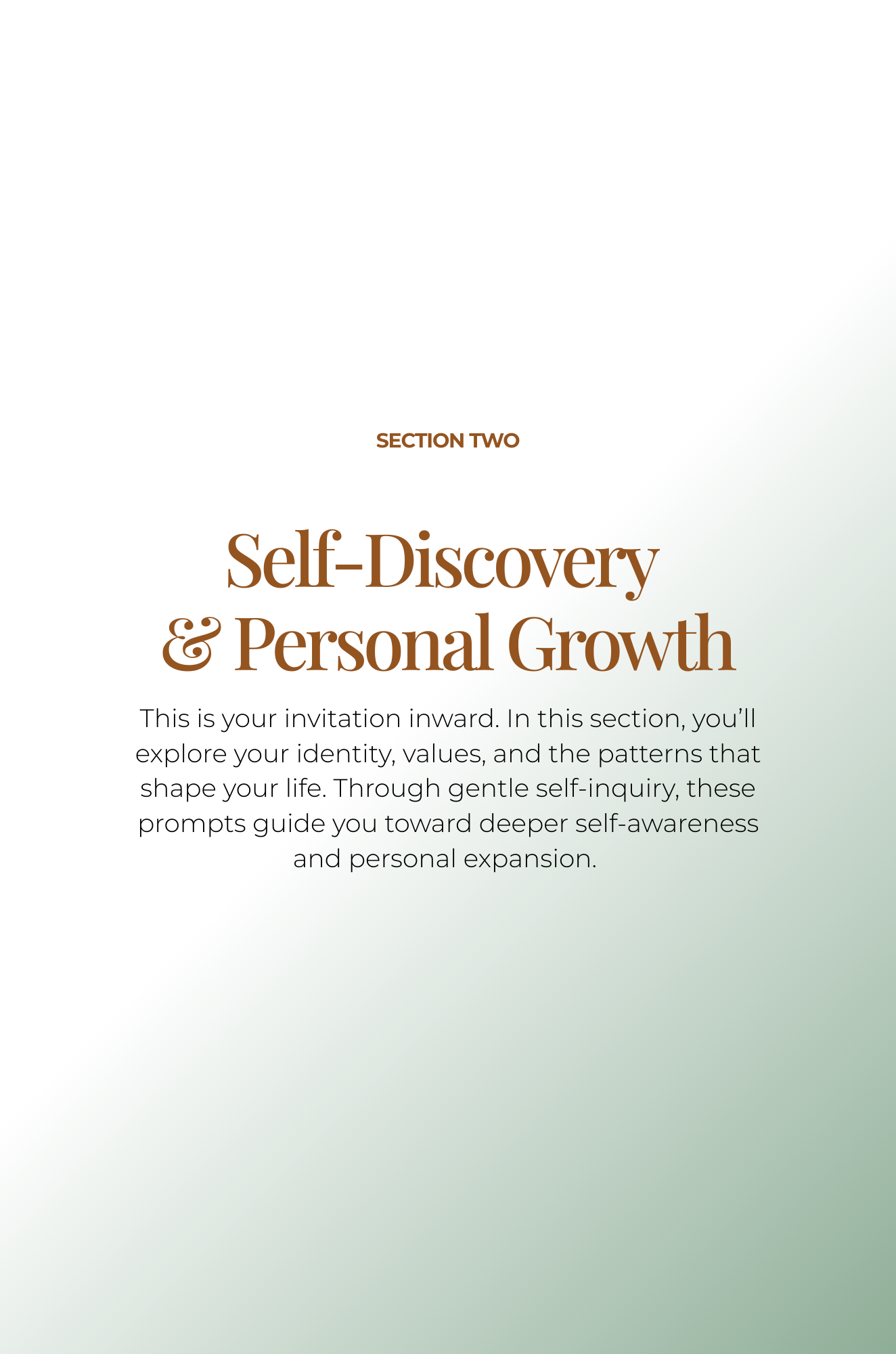 ToDae's Diary - The Guided Journal (Pre-Order)